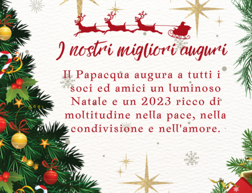 Tanti auguri di buone feste!