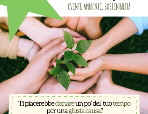Diventa volontario di Arci Papacqua!